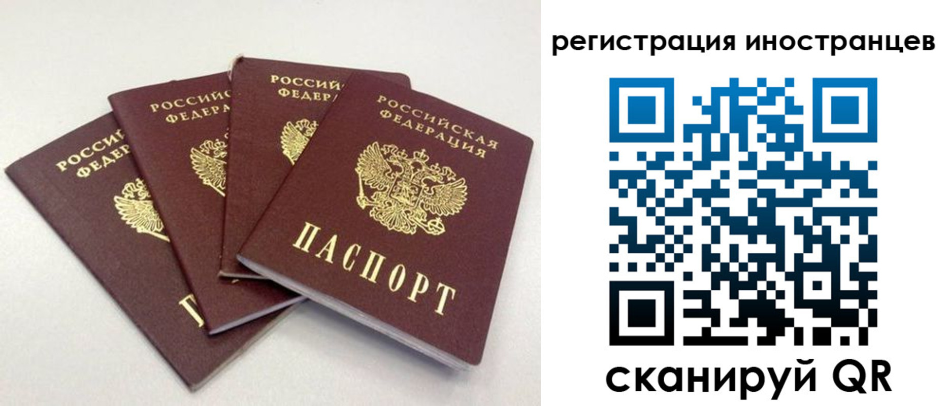 временная регистрация для школы в Невинномысске